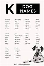 200+ Dog Names That Start with K for Your Kawaii Puppy