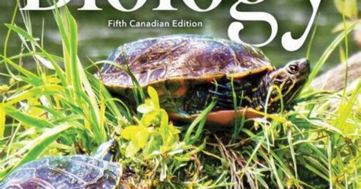 A Comprehensive Bio Exploring Life, Family, and Career