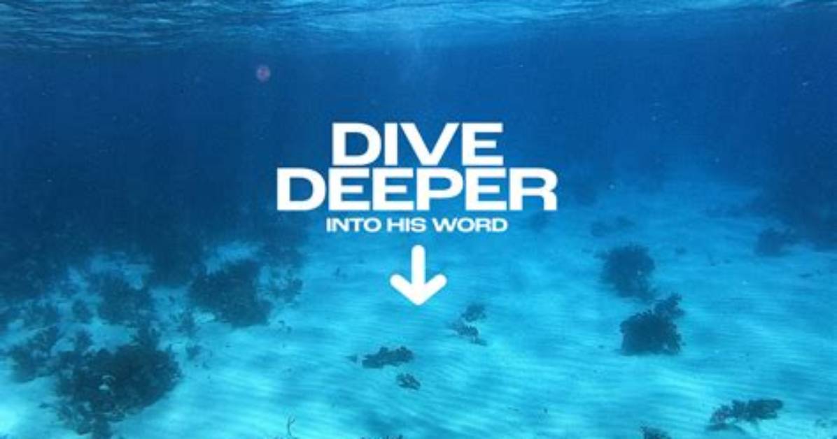 A Deeper Dive into His Wealth
