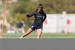 A Guide to Stefany Ferrer Van Ginkel Partner Samim