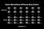 A Journey into Color, Genetics, and Style