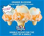 A Realm of Icy Delights
