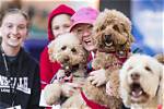A Royal Spectacle for Dog Lovers