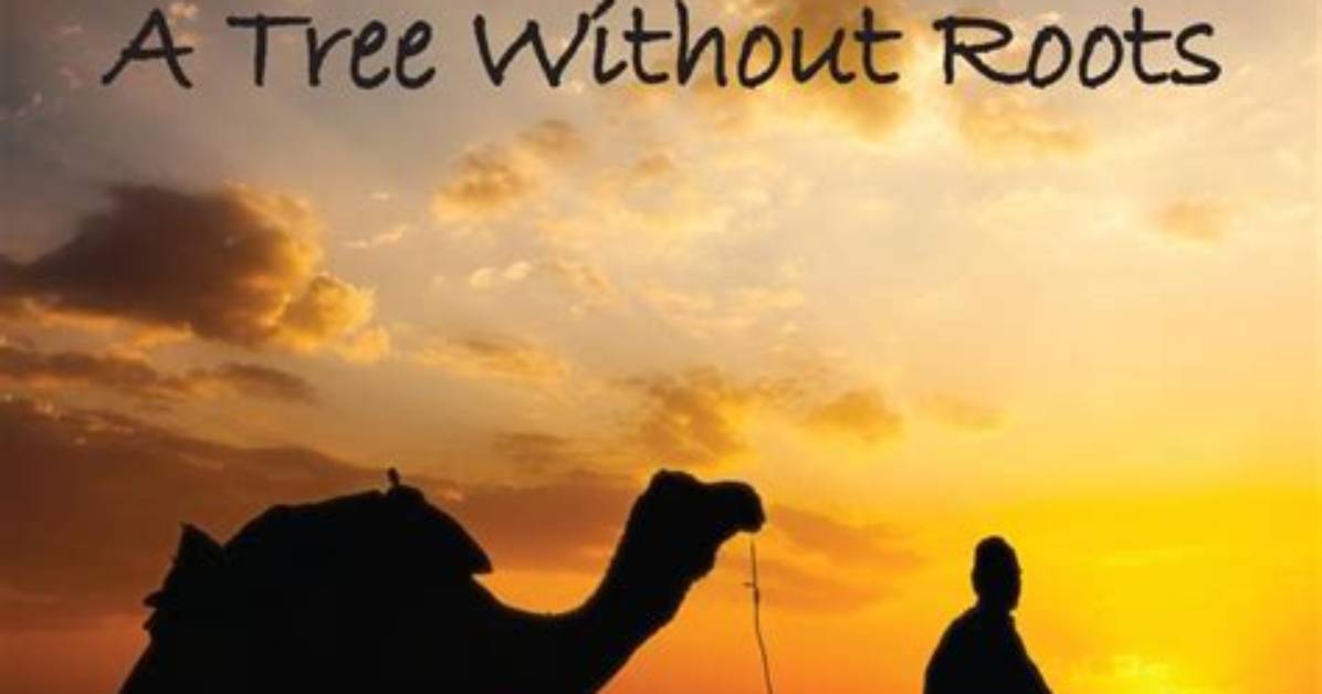 A Tree Without Roots Chapter 22: the Unraveling of Identity