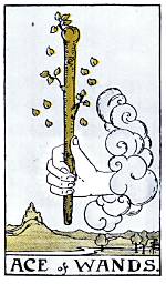 Ace of Wands ·