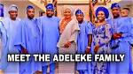 Adeleke Family Net Worth 2024: a Closer Look at Their Wealth