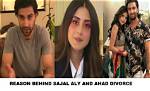 Ahad & Sajal Divorce: the Shocking Truth & What Happened?