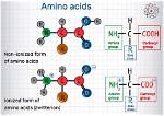 Amino Acids Polarity: Understanding the Building Blocks of Life