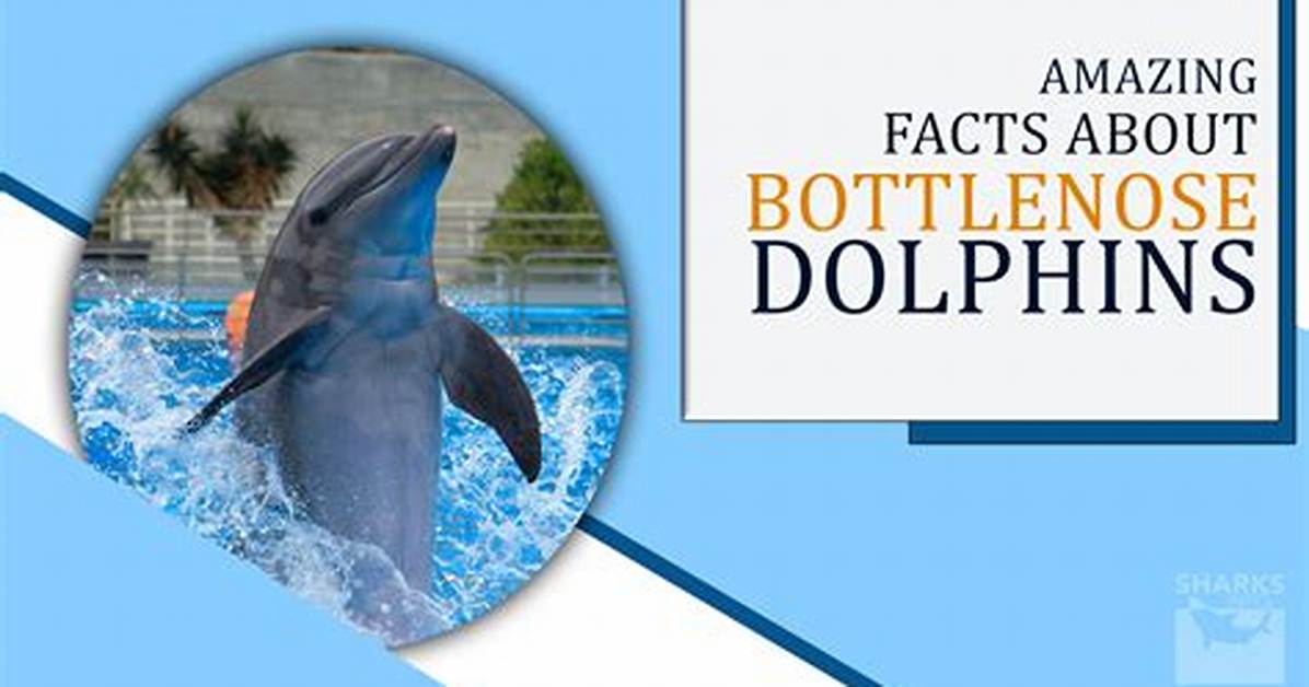 Astonishing Facts and Surprising Insights