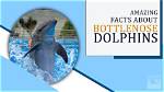 Astonishing Facts and Surprising Insights