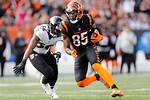 Bengals Tee Higgins Won't Negotiate Extension During Season, Expected to Hit Free Agency: Sourc |