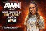 Britt Baker's Aew Contract and Its Impact
