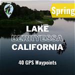 Can Dogs Swim in Lake Berryessa? |