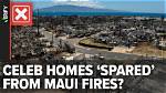 Celebrities in Maui Right Now Revealed