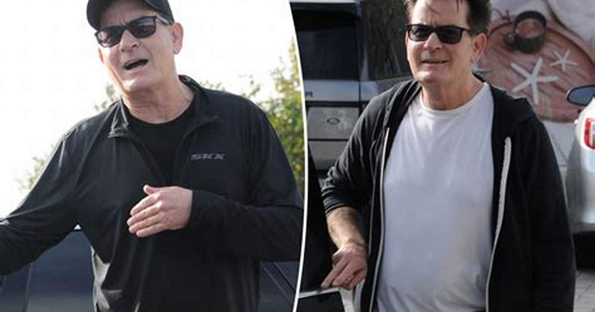 Charlie Sheen's Neighbor Charged with Assault After Alleged Attack in His Home