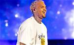 Chris Brown's Net Worth: a Fortune Built on Music and Controversy
