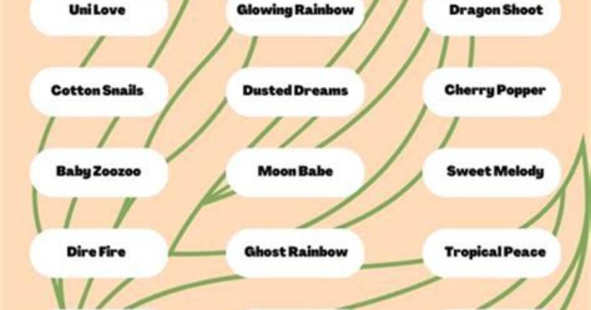 Creative and Engaging Fun User Names for Every Personality