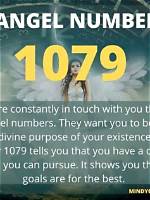 Dashj | Angel Number 1079