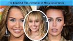 Did Miley Cyrus Slap a Fan? the Truth Behind the Controversy