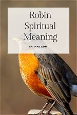 Discover Profound Symbolism and Connection