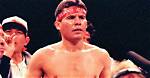 Discoveries and Insights About Julio Cesar Chavez's Daughter