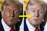 Discovering the Color of Trump's Eyes: a Unique Inquiry