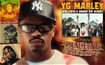Discovering the Enigma of Yg Marley