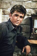 Discovering the Legacy: Who Are Michael Landon's Children?