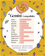 Discovering the Most Compatible Signs with Gemini