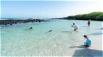 Discovering the Wonders of Oops Beach