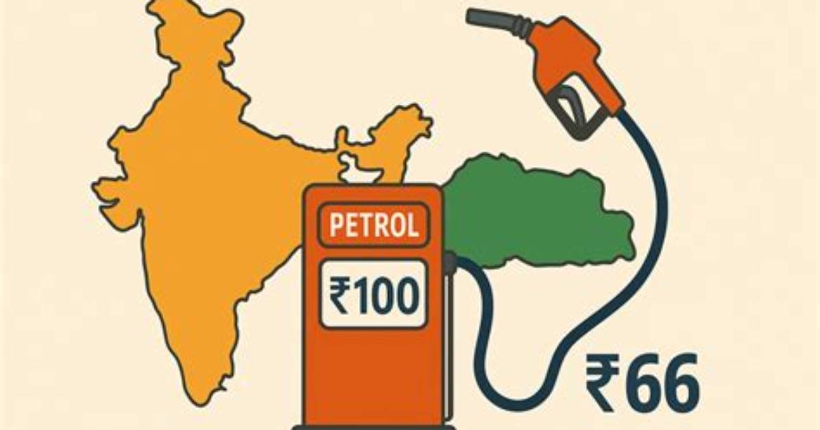 Exploring the Curious Case of the Petrol Dog Drink
