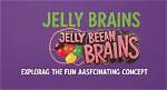 Exploring the Fascinating World of Jelly Bean Brains