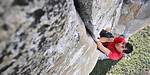 Exploring the Impressive Wealth of Alex Honnold