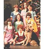 Exploring the Legacy of Rosanne: an in-Depth Look at Rosanne Imdb