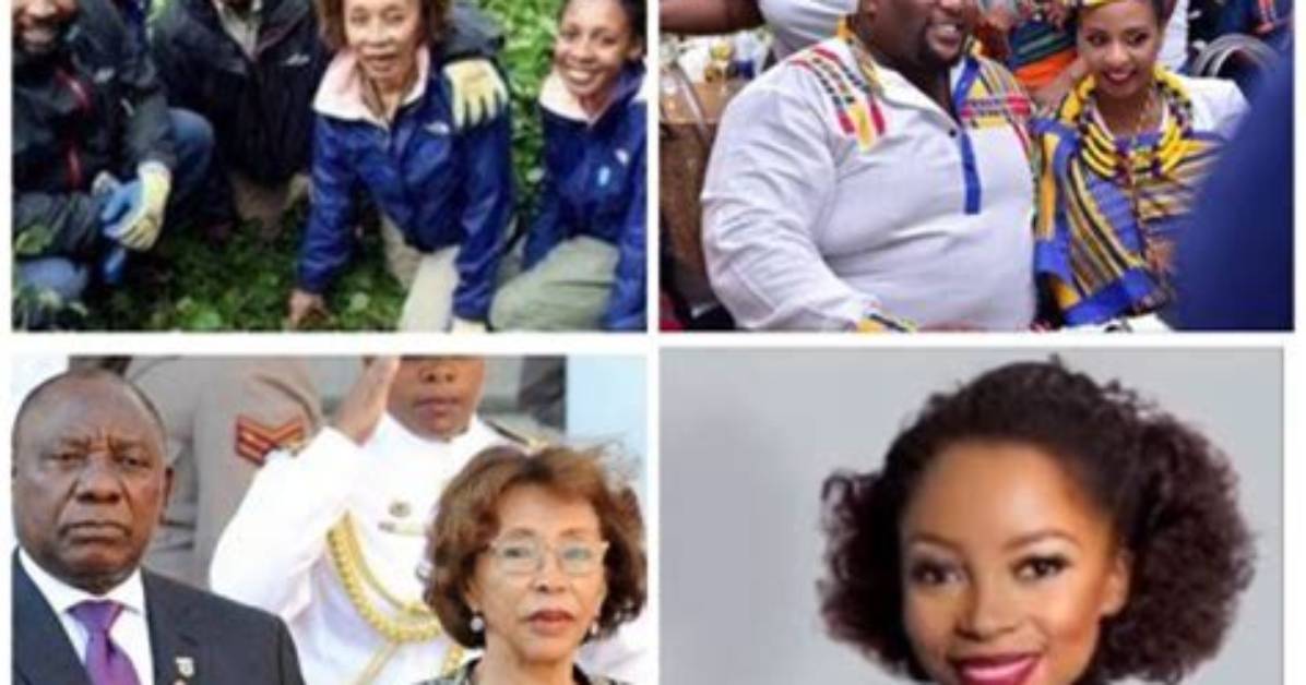 Exploring the Tshepo Motsepe Family: a Journey of Heritage and Influence