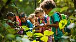 Exploring the Vibrant World of Surya Children