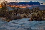 Exploring the Wonders of the High Desert