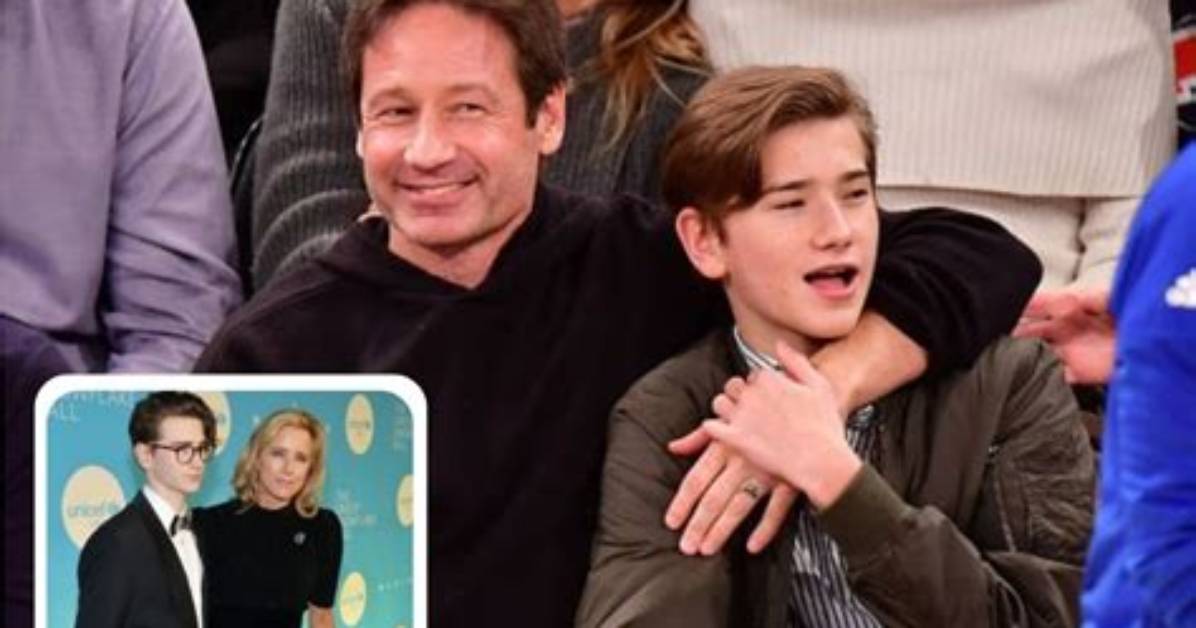Find out About David Duchovny's Son