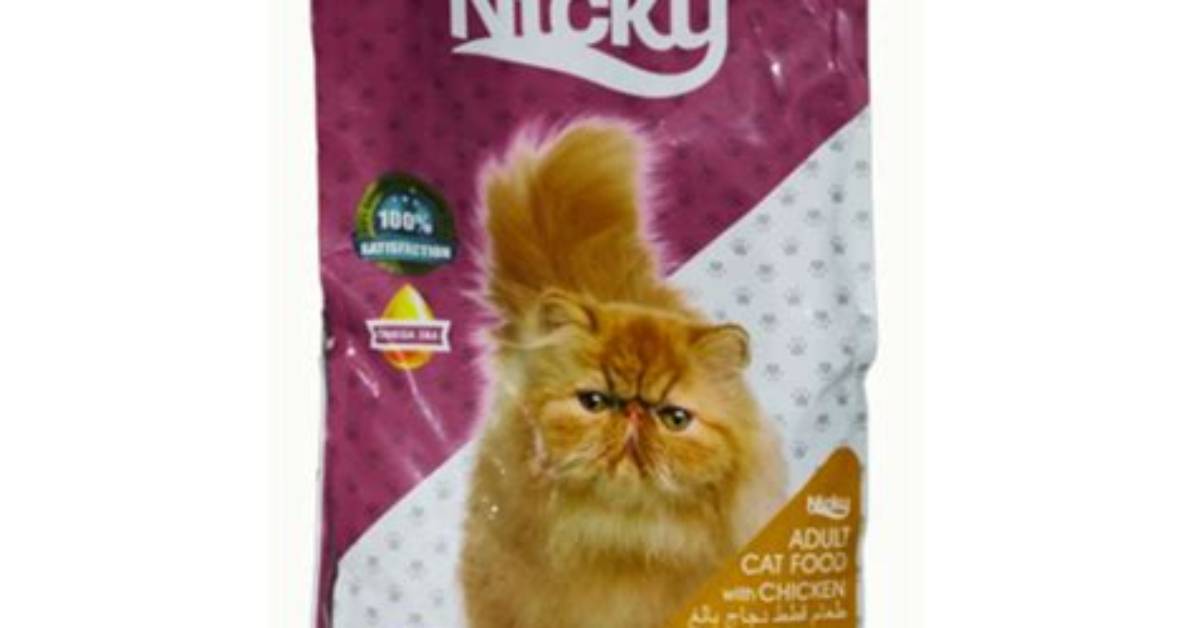 Get the Latest Updates: Nicky Cat Solas's Tragic Death