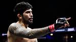 Getting out of Control Dillon Danis Looks to Bait Floyd Mayweather with a Twitter Troll |