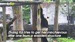 Heartwarming Moments Captured: the Story Behind Mom and Son Cctv Footage Video