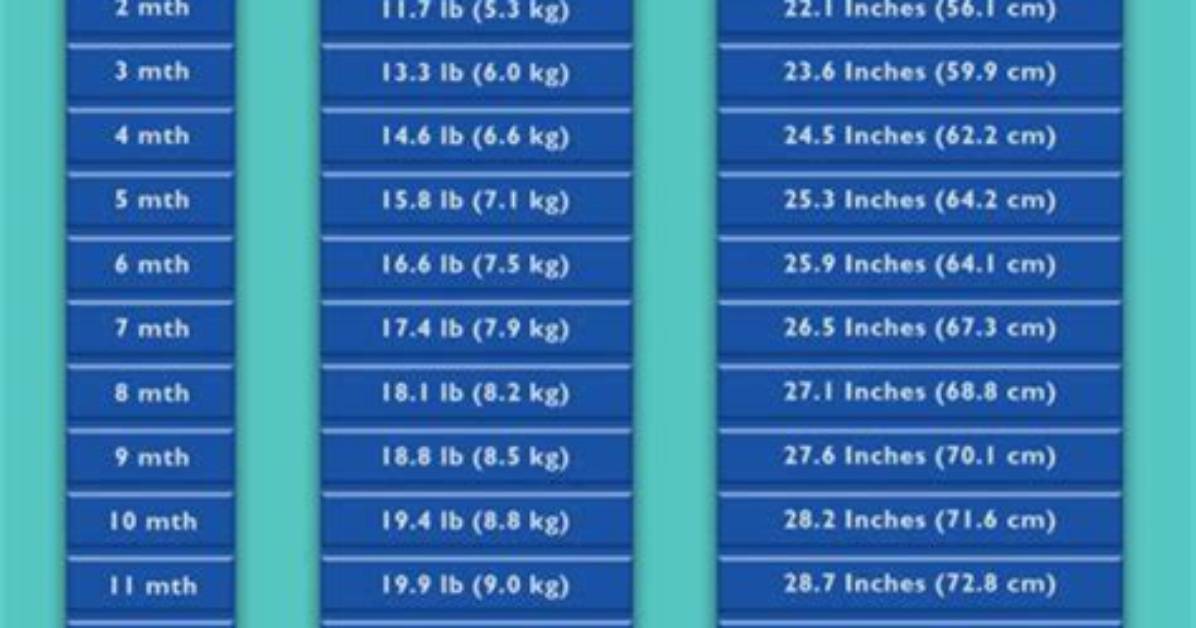 Height, Weight, Age, Relationships, and Family Unveiled