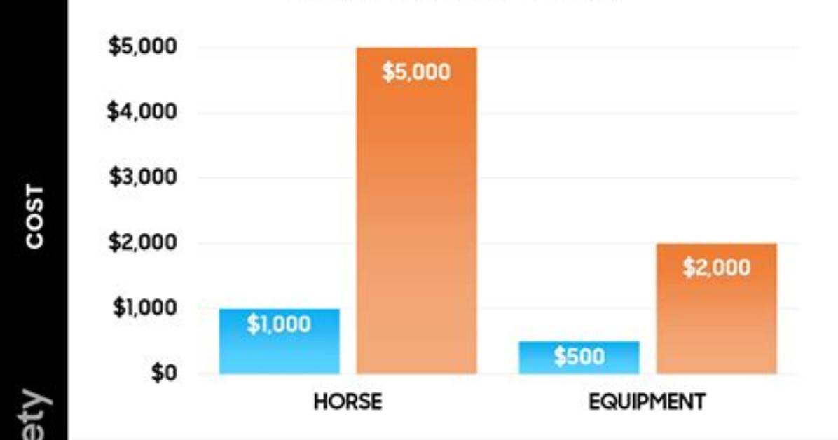 How Much Is the Average Horse Ejaculation?