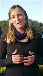 How Old Is Alison Towner? Everything to Know About Senior White Shark Biologist |