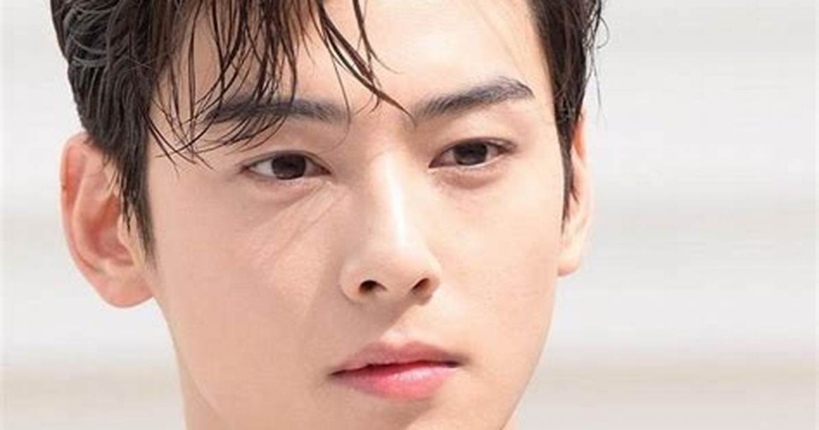 Is Cha Eun Woo Still Single? the Truth Revealed