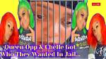 Is Queen Opp Jail Musical Artist Mugshot And