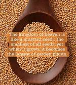 Is the Mustard Seed the Smallest of All Seeds? ·