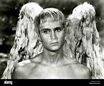 John Phillip Law