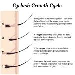 Lash Grow: the Ultimate Guide to Achieving Longer and Thicker Lashes