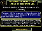 Lifting the Veil on Corporate Misconduct